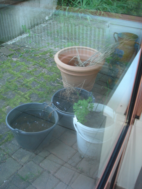 Photo de EHPAD Les Tilleuls, EHPAD à CHANU