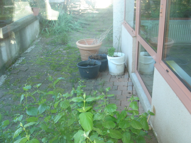 EHPAD Les Tilleuls - Photo 2 sur 5 - Intérieur et espaces communs