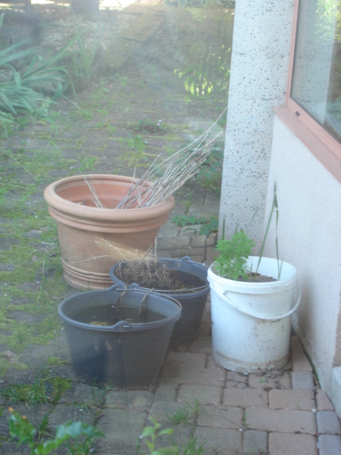 EHPAD Les Tilleuls - Photo 5 sur 5 - Environnement et extérieurs