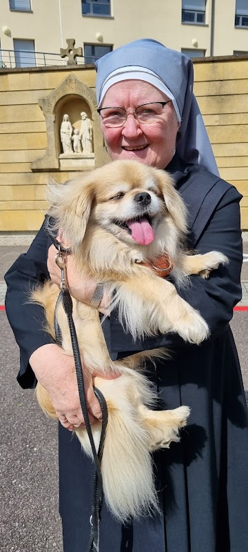 EHPAD Petites Soeurs des Pauvres ma maison - Photo 3 sur 5 - Chambres et hébergement