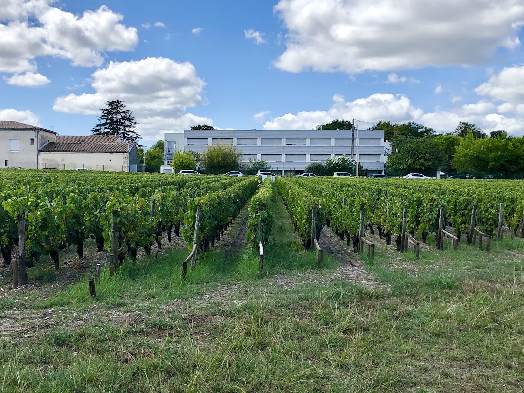 Maison de retraite de Fontaudin - Photo 5 sur 5 - Environnement et extérieurs