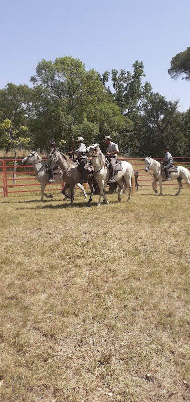 EHPAD Les Cigales - Photo 2 sur 5 - Intérieur et espaces communs