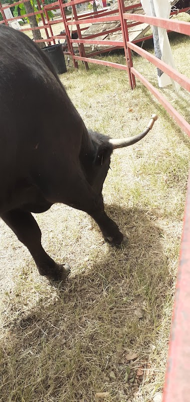 EHPAD Les Cigales - Photo 3 sur 5 - Chambres et hébergement