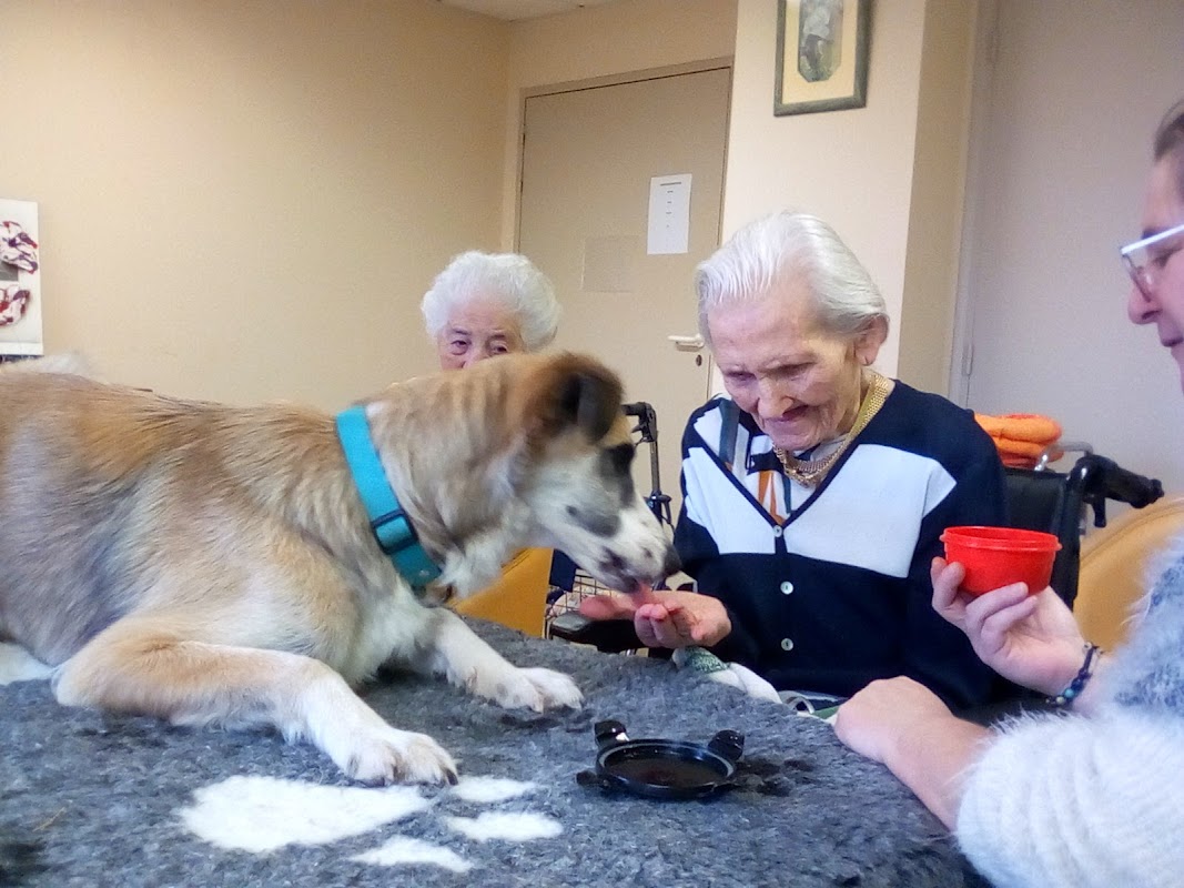 EHPAD Les Figuères - Photo 4 sur 5 - Espaces de vie