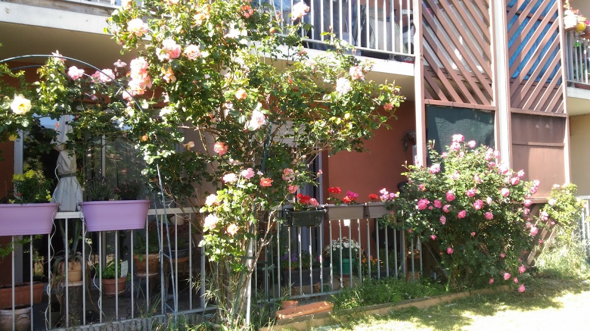 Résidence autonomie Villa Nova