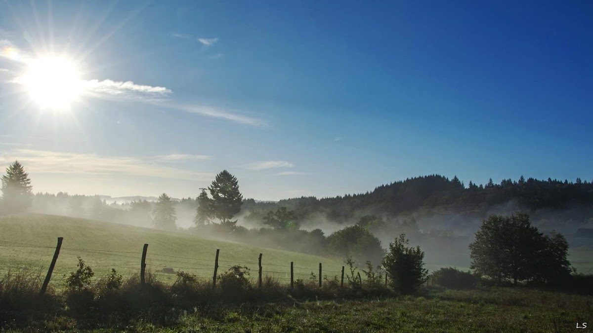 Photo de EHPAD La Résidence Fleurie, EHPAD à NALLIERS
