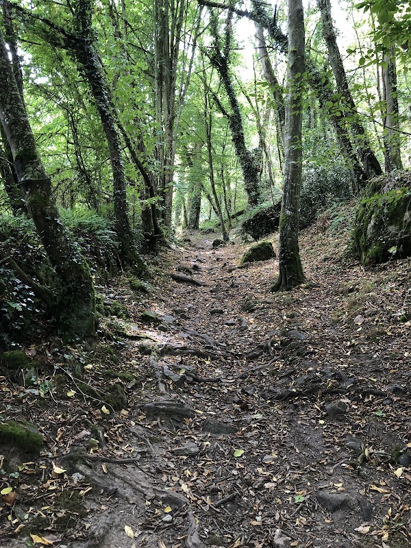 EHPAD Le Laizon - Photo 2 sur 3 - Intérieur et espaces communs