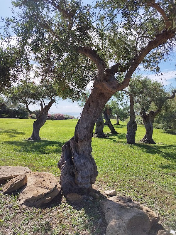 EHPAD Les Jardins d'Eulalie - Photo 3 sur 4 - Chambres et hébergement