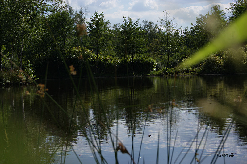 EHPAD Résidence André Maginot - Photo 4 sur 5 - Espaces de vie
