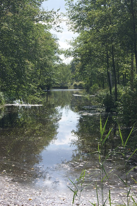 EHPAD Résidence André Maginot - Photo 5 sur 5 - Environnement et extérieurs