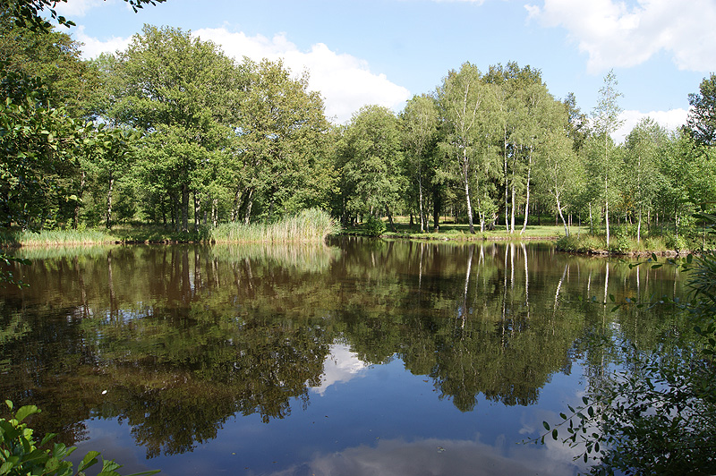 EHPAD Résidence André Maginot - Photo 2 sur 5 - Intérieur et espaces communs
