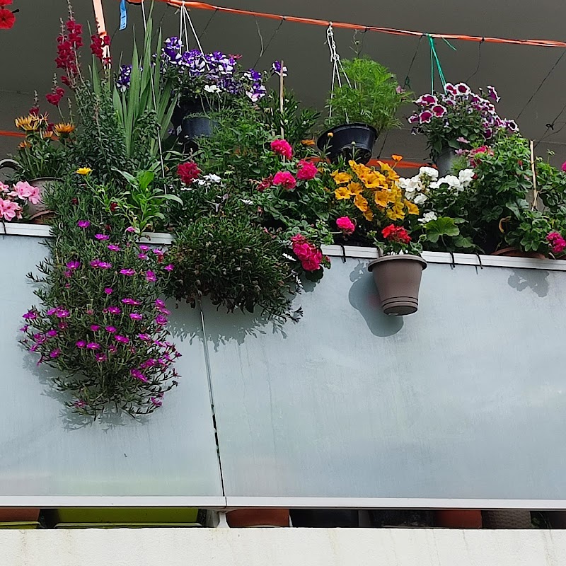 Résidence autonomie Bel Air