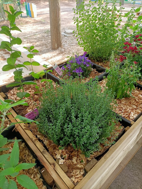 EHPAD La Lègue - Photo 2 sur 4 - Intérieur et espaces communs