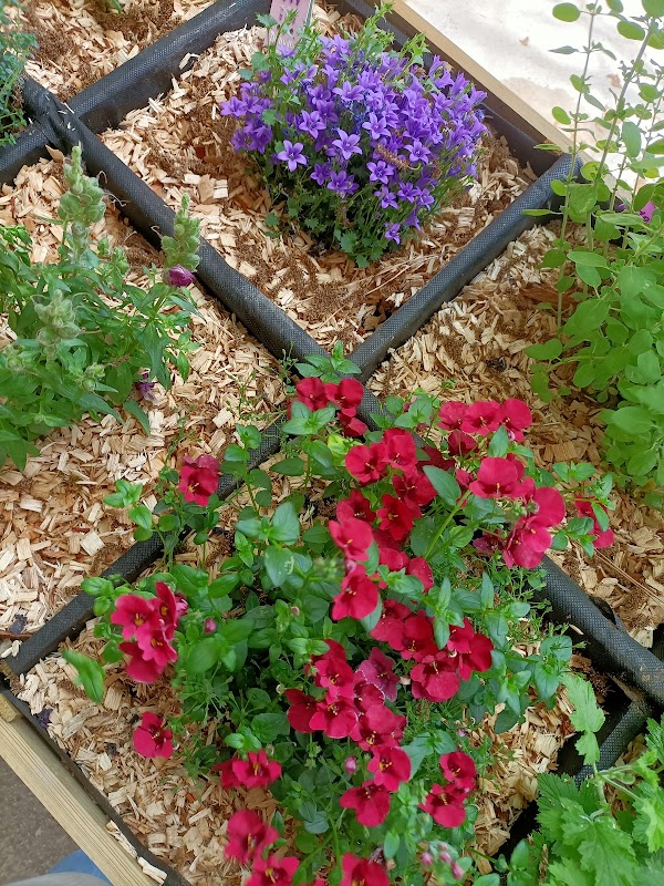 EHPAD La Lègue - Photo 3 sur 4 - Chambres et hébergement