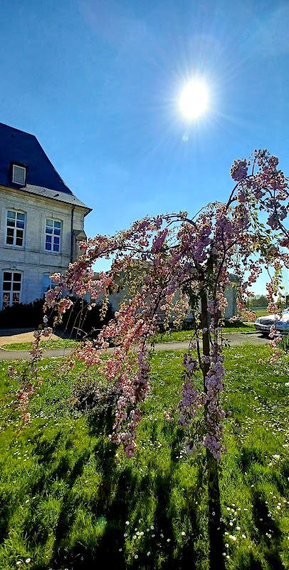 EHPAD Résidence Francois-Xavier de Saulty - Photo 3 sur 5 - Chambres et hébergement