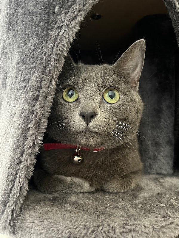 EHPAD La colline - Photo 3 sur 5 - Chambres et hébergement