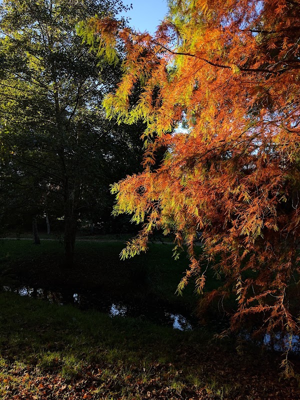 EHPAD - résidence Les camelias - Photo 2 sur 3 - Intérieur et espaces communs