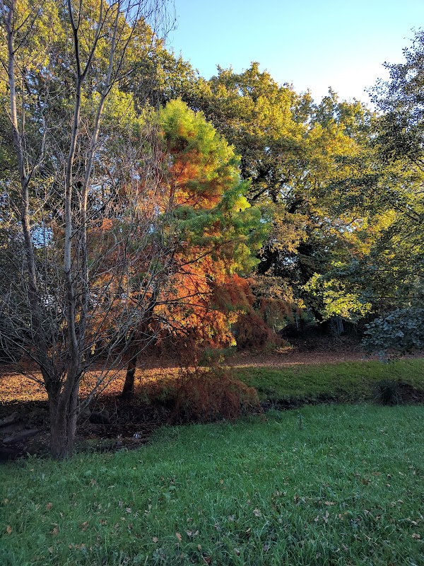 Photo de EHPAD - résidence Les camelias, EHPAD à PONT L ABBE