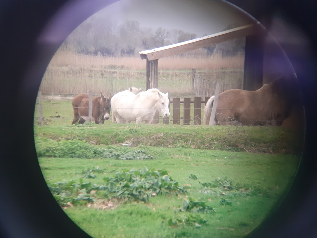 EHPAD de Marcillac - Photo 5 sur 5 - Environnement et extérieurs