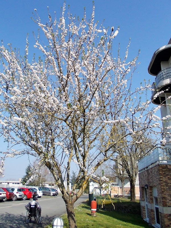 EHPAD Les Résidences de Bellevue - Photo 4 sur 5 - Espaces de vie