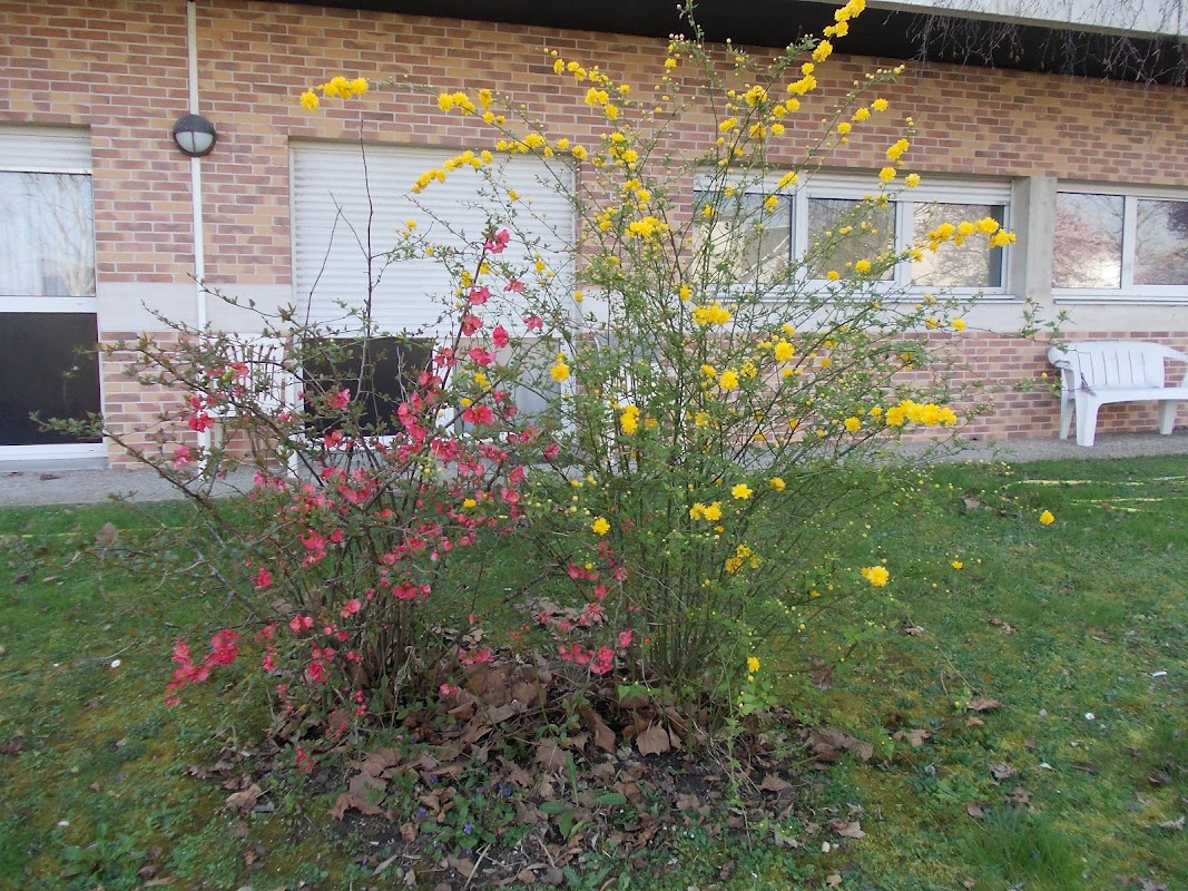 Photo de EHPAD Les Résidences de Bellevue, EHPAD à BOURGES