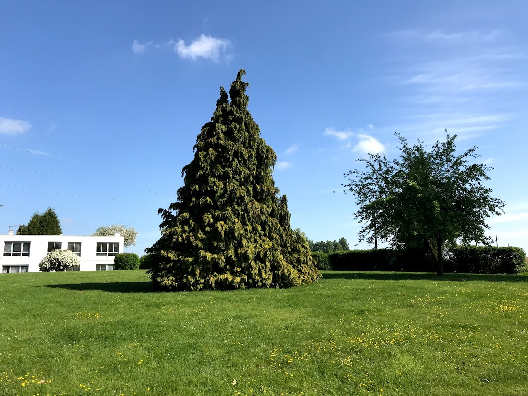 EHPAD MSB BOHAIN-EN-VERMANDOIS - Photo 2 sur 5 - Intérieur et espaces communs