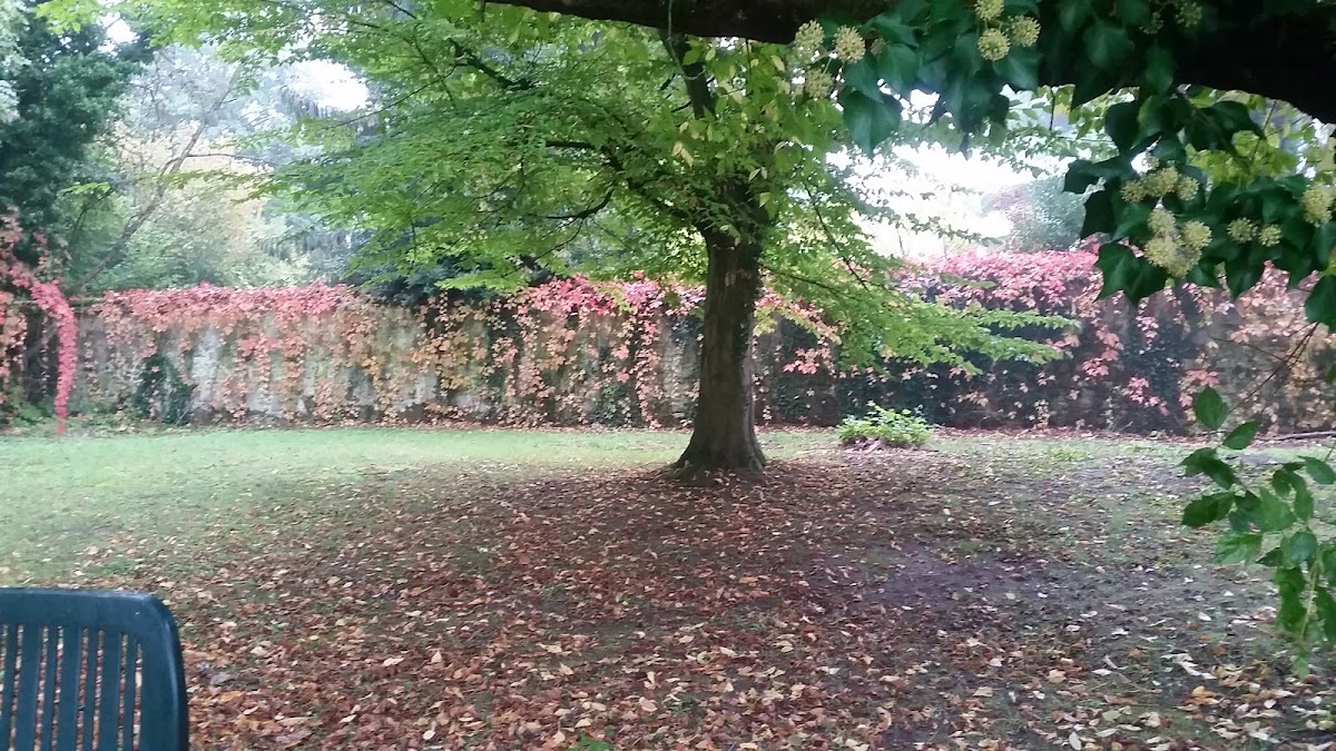 Résidence Korian de Chaintréauville - Photo 5 sur 5 - Environnement et extérieurs