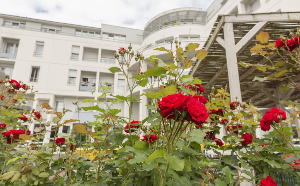 Les escales - EHPAD Guillaume le Conquérant - Les escales - Photo 3 sur 5 - Chambres et hébergement