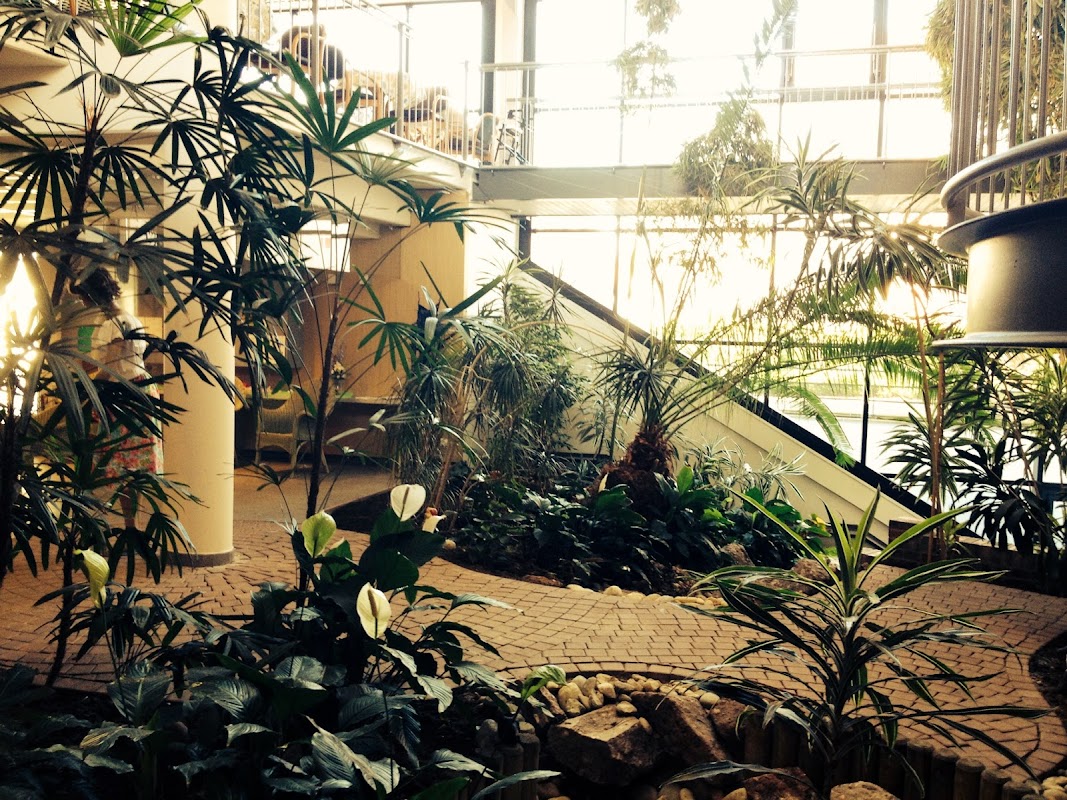 EHPAD La voute étoilée - Photo 3 sur 5 - Chambres et hébergement