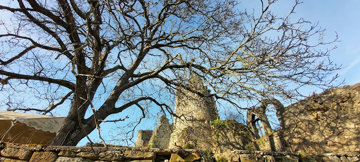 Unité de soins de longue durée de Blamont Centre hospitalier - Photo 2 sur 5 - Intérieur et espaces communs