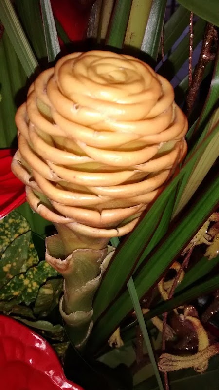 EHPAD La Croix du Gué