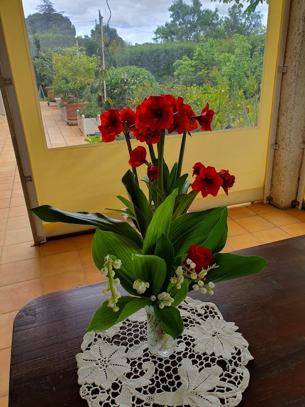 EHPAD Louis Fonoll - Photo 3 sur 3 - Chambres et hébergement