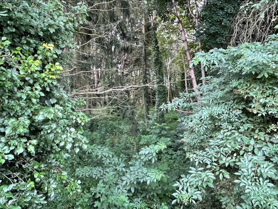 Résidence autonomie Ma Maison - Photo 3 sur 4 - Chambres et hébergement