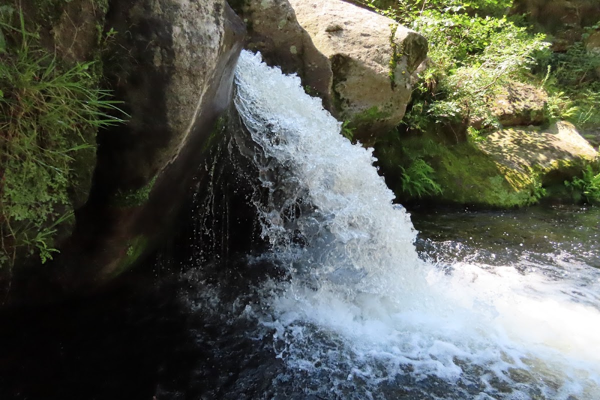 EHPAD Le Sandron - Photo 3 sur 5 - Chambres et hébergement