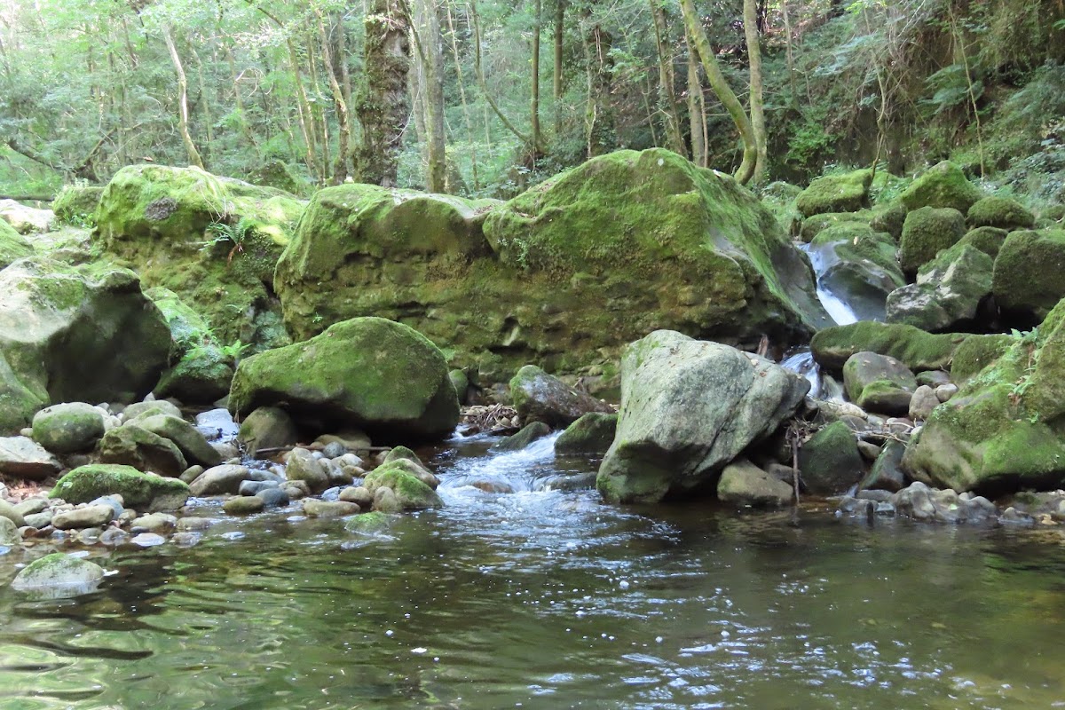 Photo de EHPAD Le Sandron, EHPAD à UCEL