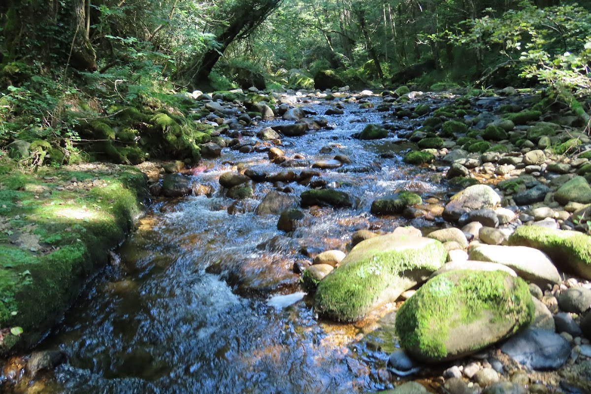 EHPAD Le Sandron - Photo 5 sur 5 - Environnement et extérieurs
