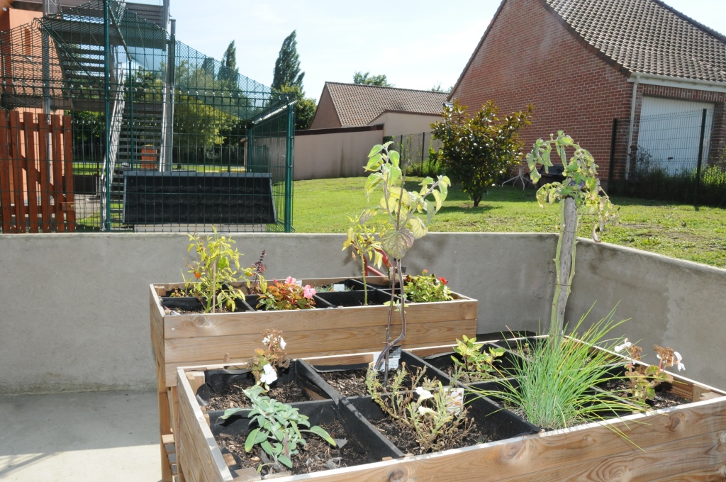EHPAD Les Bouleaux - Photo 5 sur 5 - Environnement et extérieurs