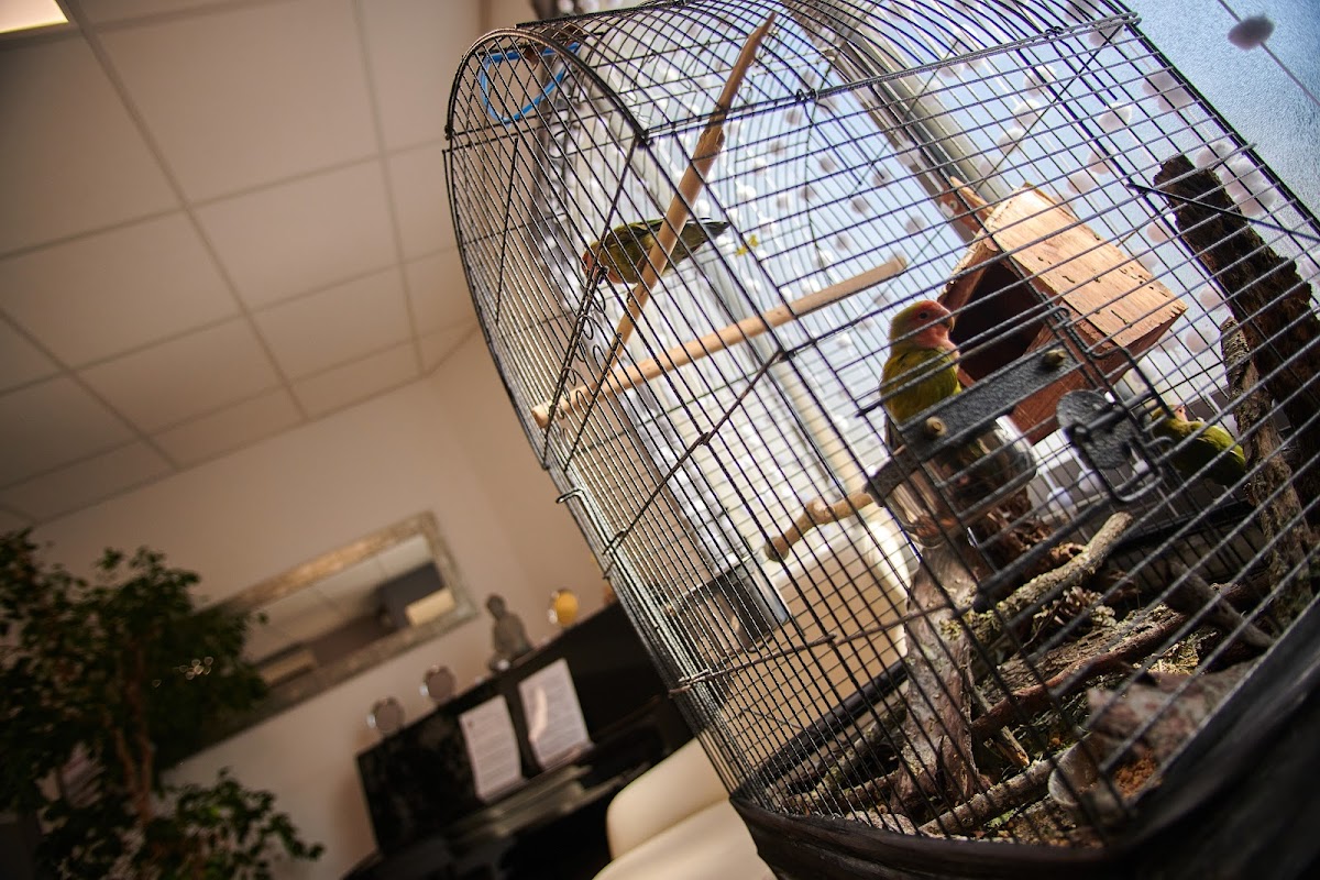 EHPAD La Brise des pins - Photo principale