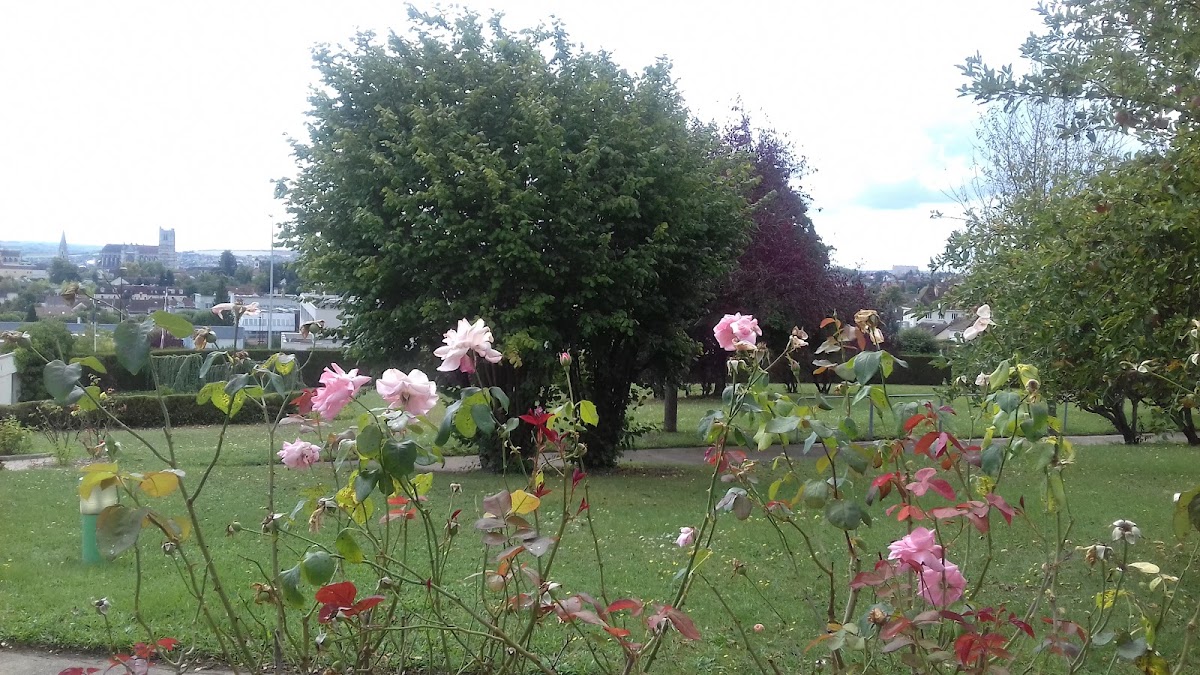 EHPAD Résidence mutualiste les Clairions - Photo 3 sur 3 - Chambres et hébergement