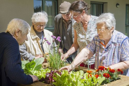 EHPAD La Randonneraie - Photo 3 sur 4 - Chambres et hébergement