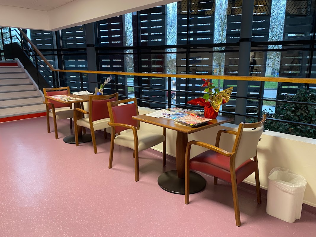 La Maison de l'Orme Doré - Photo 5 sur 5 - Environnement et extérieurs