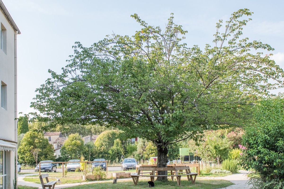 EHPAD La Thébaide - Photo 5 sur 5 - Environnement et extérieurs