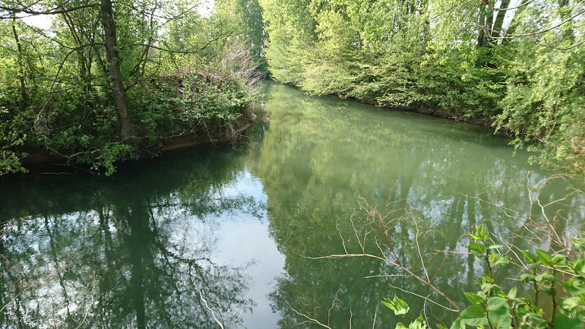 EHPAD Crécy-sur-Serre - Photo 4 sur 5 - Espaces de vie