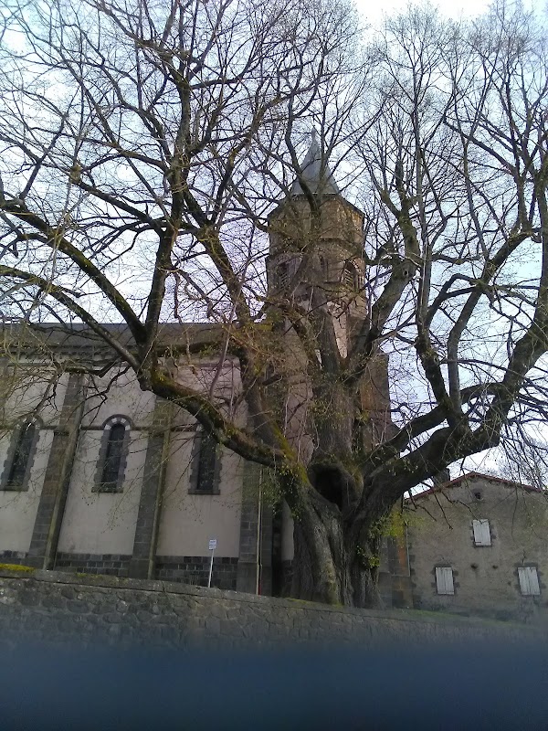 Foyer-Logement Les Nymphéas - Photo 2 sur 3 - Intérieur et espaces communs