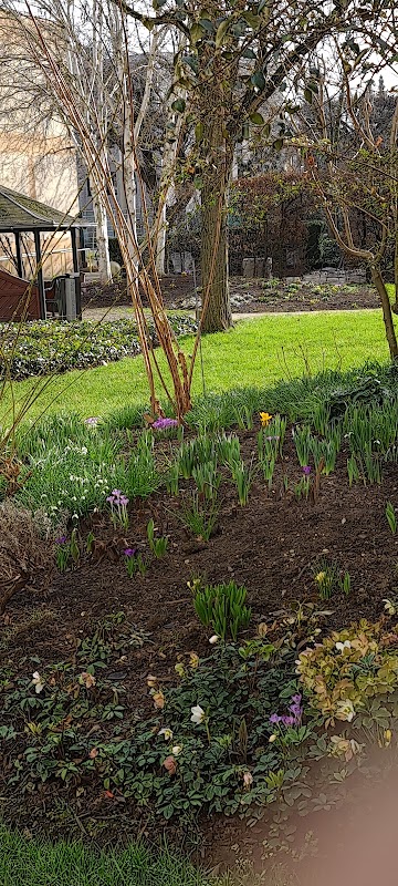 EHPAD Bethlehem - Photo 5 sur 5 - Environnement et extérieurs