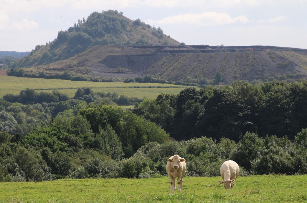 EHPAD DU BON AIR - Photo 2 sur 2 - Intérieur et espaces communs