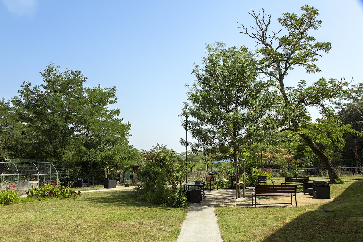 EHPAD Saint-Georges - Photo 5 sur 5 - Environnement et extérieurs