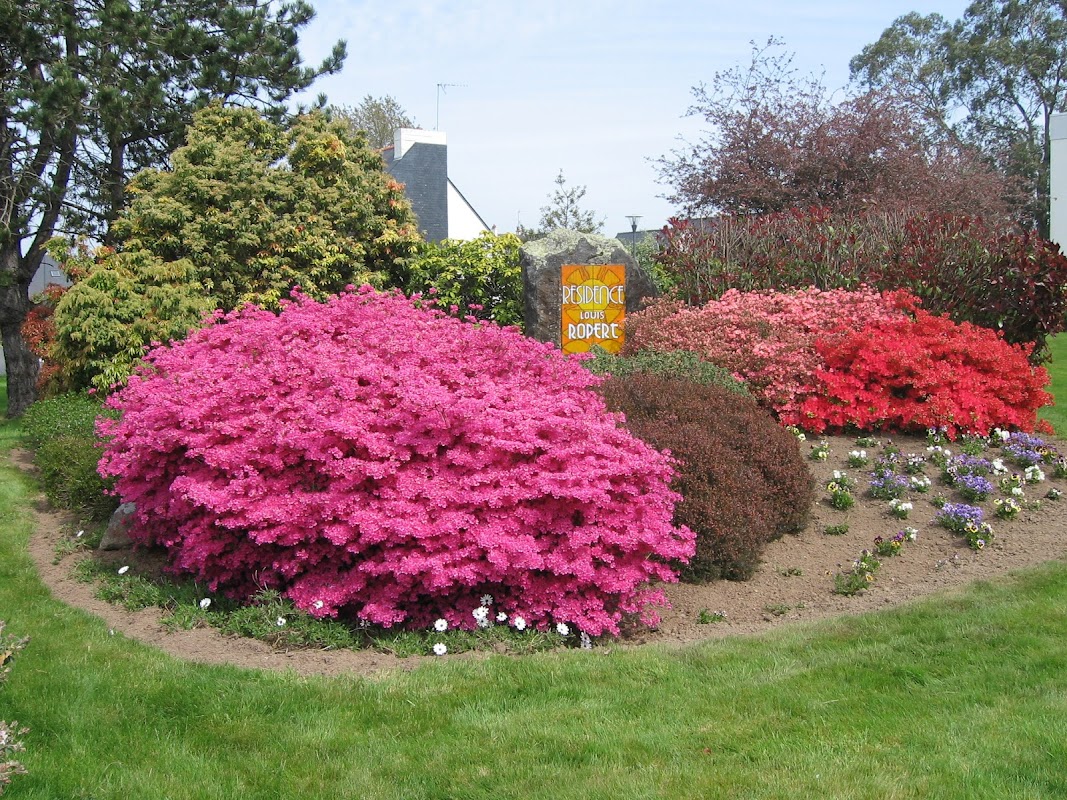 Résidence Louis Ropert - Photo 5 sur 5 - Environnement et extérieurs