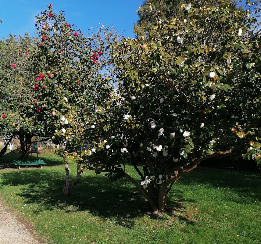 Résidence Catherine-de-Longpré