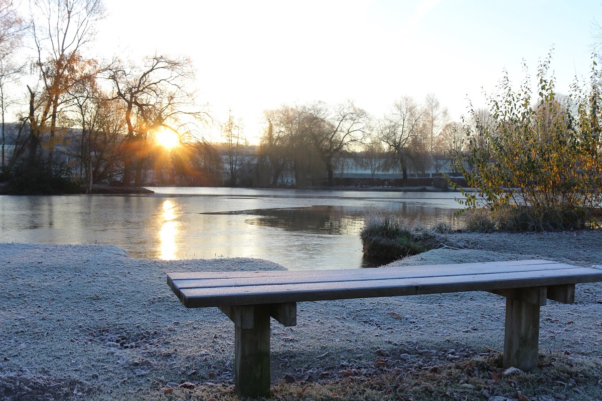 Foyer-Logement Résidence Les tilleuls - Photo 4 sur 5 - Espaces de vie